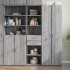 Aparador de madera de ingeniería gris Sonoma 45x42,5x185
