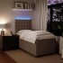 Cama box spring con colchón terciopelo gris claro 100x200