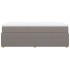 Cama box spring con colchón tela gris taupe 100x200