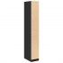 Armario de madera de ingeniería negro 30x50x200