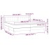 Cama box spring con colchón terciopelo azul oscuro 200x200