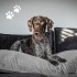 Madison Cojín para perros Velvet gris 100x70x15