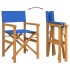 Silla de director plegable madera maciza de teca