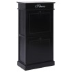 Mueble zapatero de madera de Paulownia negro 50x28x98 cm