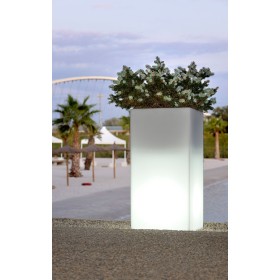 Macetero de lineas depuradas.