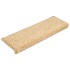 Alfombrilla escalera 30 uds 65x21x4 cm