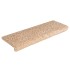 Alfombrilla escalera 30 uds 65x21x4 cm