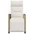 Silla de jardín reclinable con mesa auxiliar ratán