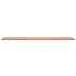 Tablero de banco de trabajo madera maciza de haya 200x55x2,5