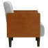 Sillón con reposabrazos Terciopelo Gris Claro 55