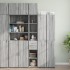 Armario estrecho madera ingeniería gris Sonoma 30x42,5x225