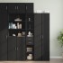 Armario estrecho madera de ingeniería negro 30x42,5x225