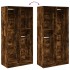 Armario madera contrachapada color roble ahumado 100x50x200