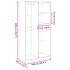 Armario madera contrachapada color roble ahumado 100x50x200