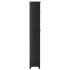 Mueble para inodoro BERG madera maciza negro 60x27x164,5