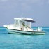 Set de toldo T-Top extensión azul marino 174x205x(115-194)