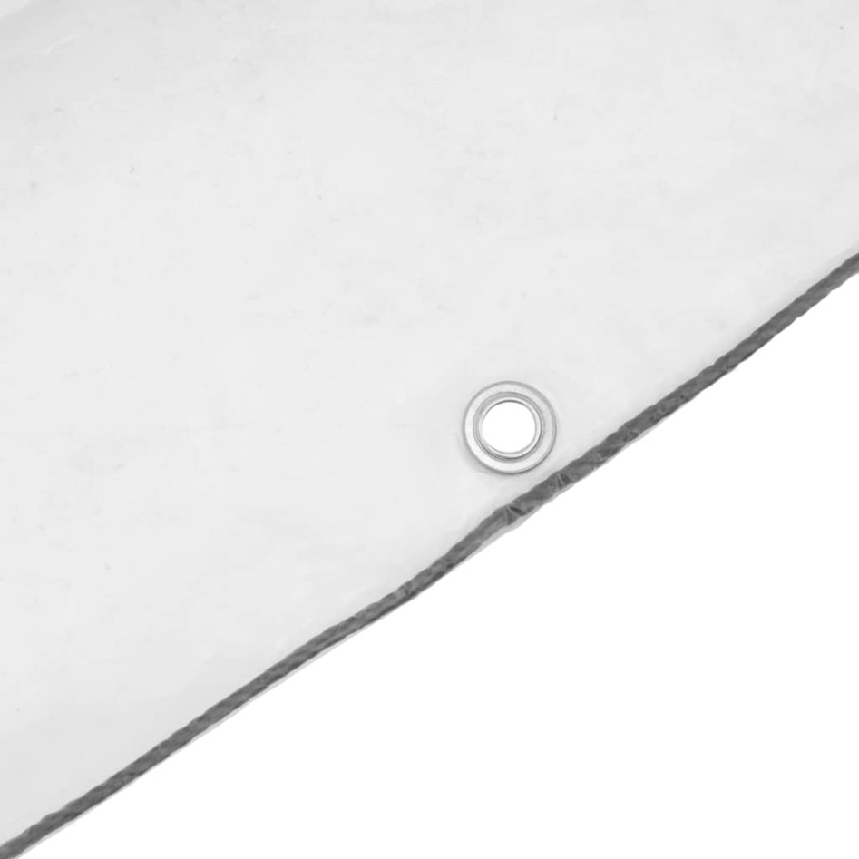 Lona transparente con ojales polietileno 10x10