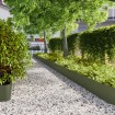 Bordes césped 20 uds acero laminado frío verde oliva 25x103 cm