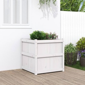 Jardinera de madera maciza de pino blanca 70x70x70