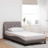 Estructura de cama sin colchón tela gris taupe 100x200