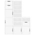 Armarios auxiliares 5 uds ODDA blanco 40x24x79 cm madera