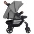 Carrito de bebés 2 en 1 de acero gris