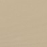 Toldo lateral retráctil beige 100x600