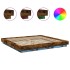 Estructura cama con luces LED madera roble ahumado 180x200