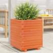 Jardinera madera maciza de pino marrón cera 40x40x49,5 cm