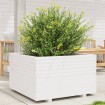 Jardinera madera maciza de pino blanco 80x80x49,5 cm