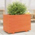 Jardinera madera maciza de pino marrón cera 70x40x49,5