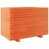 Jardinera madera maciza de pino marrón cera 70x40x49,5