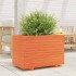Jardinera madera maciza de pino marrón cera 70x40x49,5