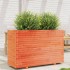 Jardinera madera maciza de pino marrón cera 110x40x72,5