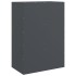 Aparador de acero gris antracita 67x39x95