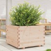 Jardinera de madera maciza de pino 70x70x49,5 cm