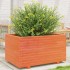 Jardinera madera maciza de pino marrón cera 90x60x49,5
