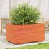 Jardinera madera maciza de pino marrón cera 90x60x49,5