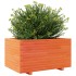 Jardinera madera maciza de pino marrón cera 90x60x49,5