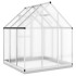Invernadero con marco base aluminio plateado 169x169x202