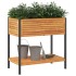 Jardinera con estante madera maciza acacia y acero 80x45x80