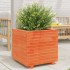 Jardinera madera maciza de pino marrón cera 50x50x49,5