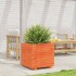Jardinera madera maciza de pino marrón cera 50x50x49,5