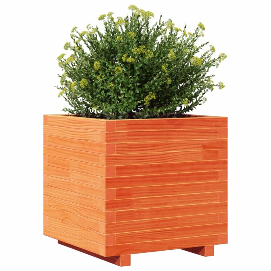 Jardinera madera maciza de pino marrón cera 50x50x49,5
