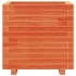 Jardinera madera maciza de pino marrón cera 50x50x49,5