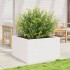 Jardinera madera maciza de pino blanco 80x80x45,5