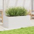 Jardinera de madera maciza de pino blanco 110x60x45,5