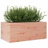 Jardinera madera maciza de abeto Douglas 110x60x45,5