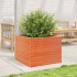 Jardinera de madera maciza de pino marrón cera 60x60x45,5