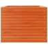 Jardinera de madera maciza de pino marrón cera 60x60x45,5